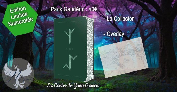 Les Contes de Yava Gowen - Intégral Collector (Angélique Espinet) - Relié